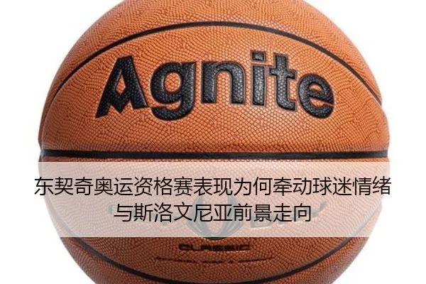 img_1780209322550_5_2_363.jpg